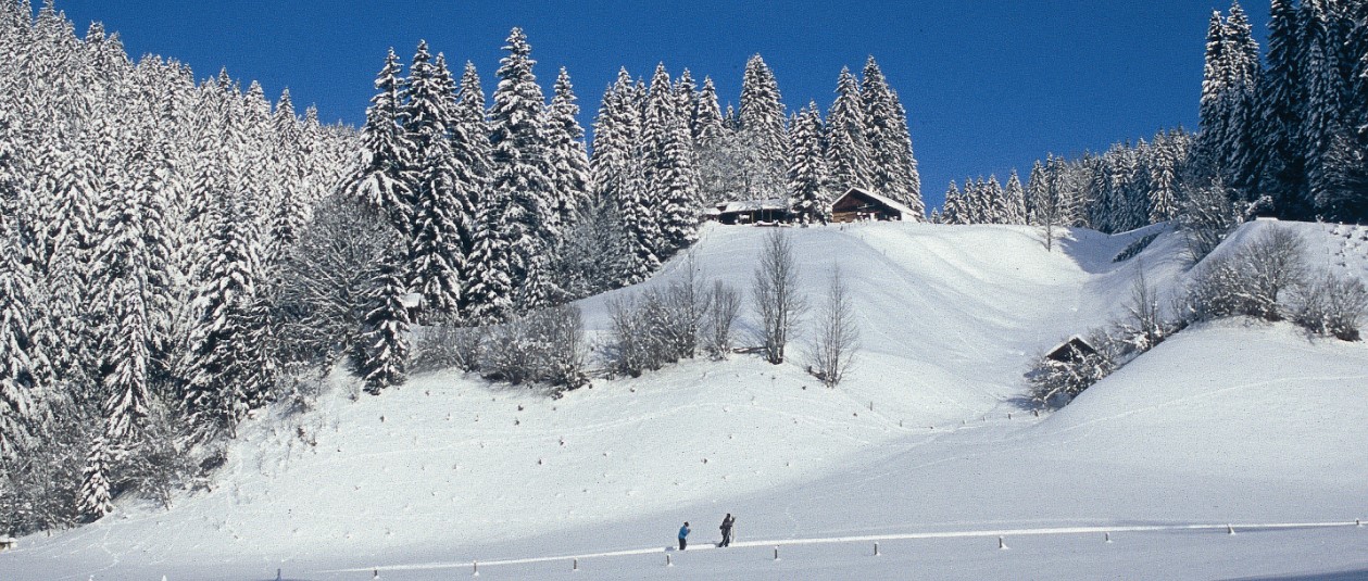 Winterurlaub Bayerischer Wald mit Skifahren und Langlaufen